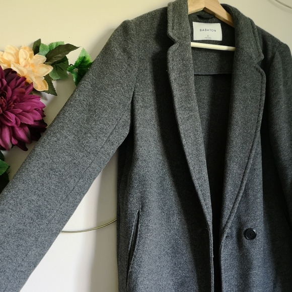 Aritzia Babaton Stedman coat - Picture 5 of 6